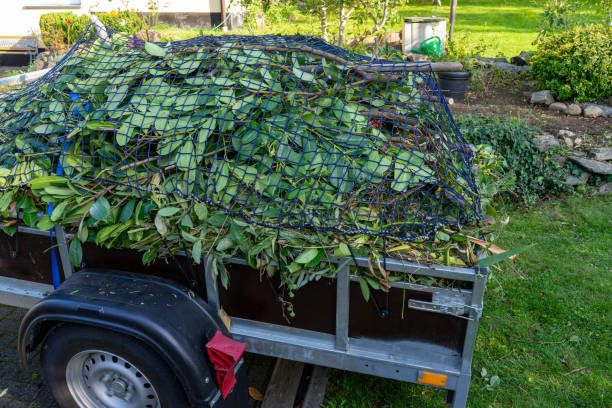 Best Moving and Downsizing Cleanouts  in Country Homes, WA